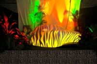 APAV Project types Projection mapping