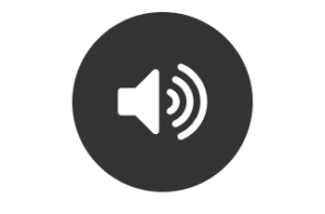 Basic Audio Package for Small Meetings and Social Events